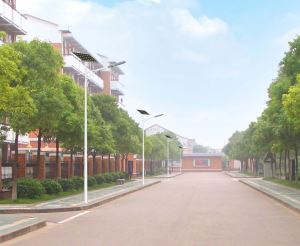 新農(nóng)村太陽能路燈